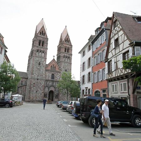 Gite Le Colombier Selestat - 30Min Europapark Exterior foto